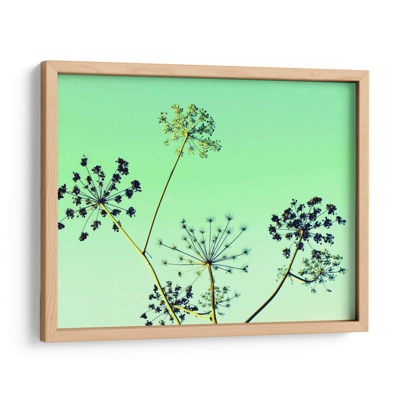 Vaca Parsley Ii - Lillian Bell | Cuadro decorativo de Canvas Lab