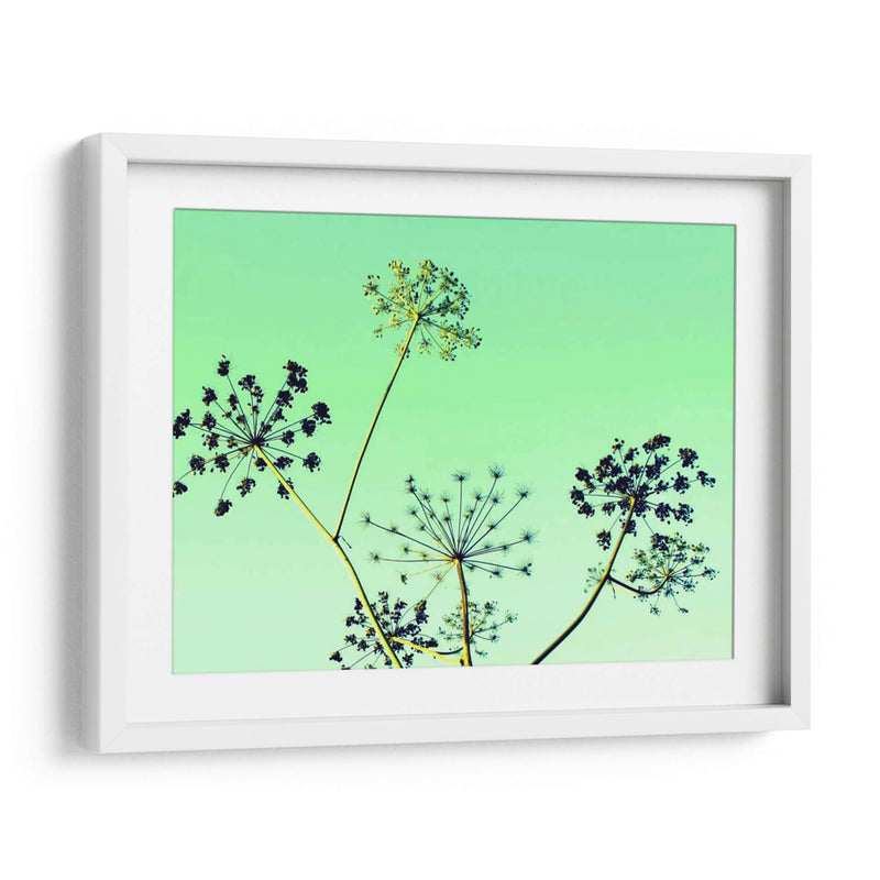 Vaca Parsley Ii - Lillian Bell | Cuadro decorativo de Canvas Lab