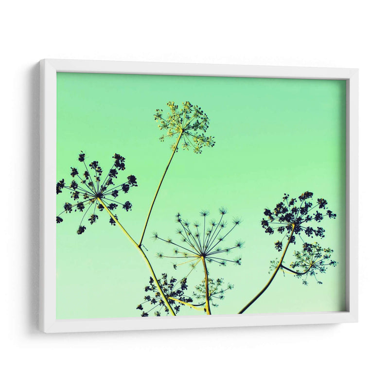 Vaca Parsley Ii - Lillian Bell | Cuadro decorativo de Canvas Lab