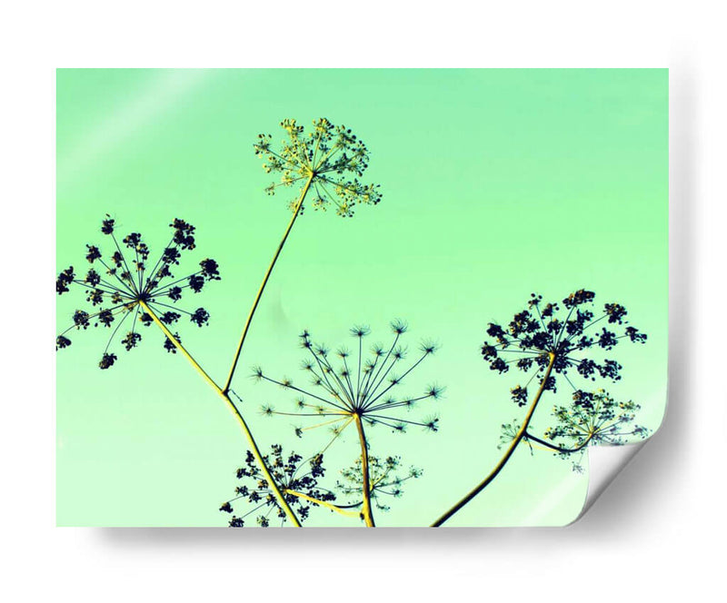 Vaca Parsley Ii - Lillian Bell | Cuadro decorativo de Canvas Lab