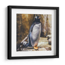 Pingüino atento | Cuadro decorativo de Canvas Lab