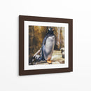 Pingüino atento | Cuadro decorativo de Canvas Lab