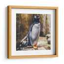 Pingüino atento | Cuadro decorativo de Canvas Lab