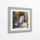 Pingüino atento | Cuadro decorativo de Canvas Lab