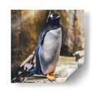 Pingüino atento | Cuadro decorativo de Canvas Lab