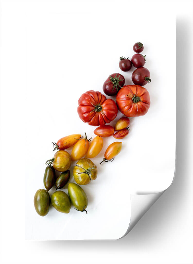 Gradiente de tomates | Cuadro decorativo de Canvas Lab