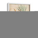 Estudio De Hierbas Ii - Grace Popp | Cuadro decorativo de Canvas Lab