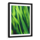 Green tip | Cuadro decorativo de Canvas Lab