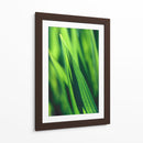 Green tip | Cuadro decorativo de Canvas Lab
