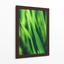 Green tip | Cuadro decorativo de Canvas Lab