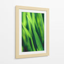 Green tip | Cuadro decorativo de Canvas Lab