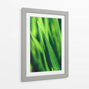 Green tip | Cuadro decorativo de Canvas Lab