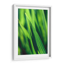 Green tip | Cuadro decorativo de Canvas Lab