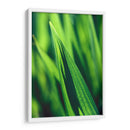 Green tip | Cuadro decorativo de Canvas Lab