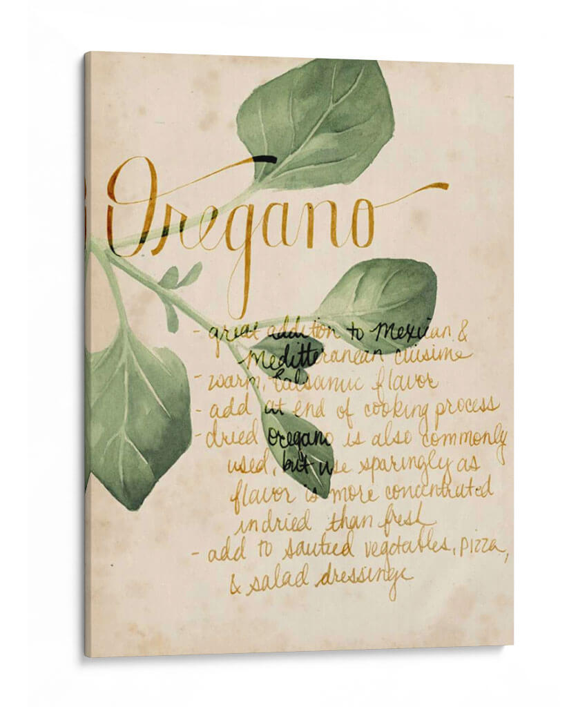 Estudio De Hierbas Iii - Grace Popp | Cuadro decorativo de Canvas Lab
