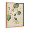 Estudio De Hierbas Iii - Grace Popp | Cuadro decorativo de Canvas Lab