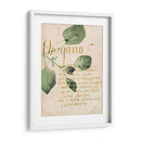 Estudio De Hierbas Iii - Grace Popp | Cuadro decorativo de Canvas Lab