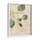 Estudio De Hierbas Iii - Grace Popp | Cuadro decorativo de Canvas Lab