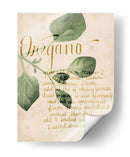 Estudio De Hierbas Iii - Grace Popp | Cuadro decorativo de Canvas Lab