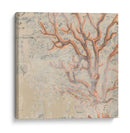 Costo Pareo Vi - June Erica Vess | Cuadro decorativo de Canvas Lab