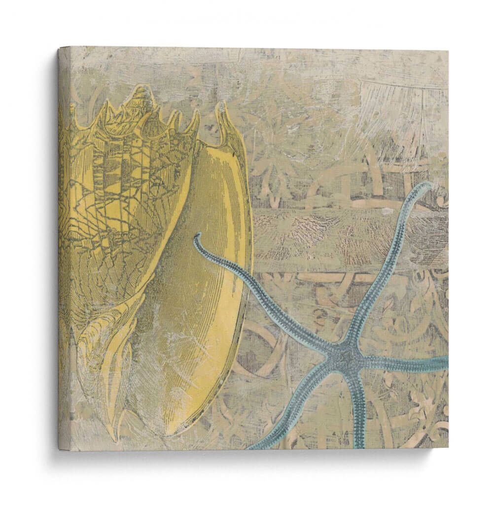 Costa De Camafeo Vii - June Erica Vess | Cuadro decorativo de Canvas Lab