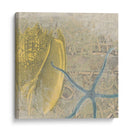 Costa De Camafeo Vii - June Erica Vess | Cuadro decorativo de Canvas Lab