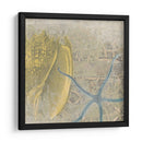 Costa De Camafeo Vii - June Erica Vess | Cuadro decorativo de Canvas Lab