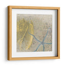 Costa De Camafeo Vii - June Erica Vess | Cuadro decorativo de Canvas Lab