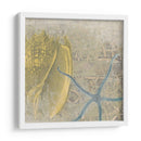 Costa De Camafeo Vii - June Erica Vess | Cuadro decorativo de Canvas Lab