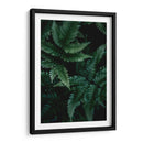 Helecho creciente | Cuadro decorativo de Canvas Lab