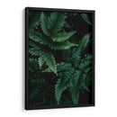 Helecho creciente | Cuadro decorativo de Canvas Lab