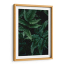 Helecho creciente | Cuadro decorativo de Canvas Lab