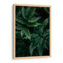 Helecho creciente | Cuadro decorativo de Canvas Lab