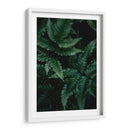 Helecho creciente | Cuadro decorativo de Canvas Lab