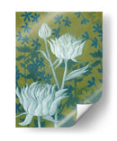 Crisantemos Salvajes Ii - Grace Popp | Cuadro decorativo de Canvas Lab