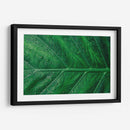 Hoja húmeda | Cuadro decorativo de Canvas Lab