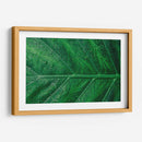 Hoja húmeda | Cuadro decorativo de Canvas Lab
