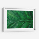 Hoja húmeda | Cuadro decorativo de Canvas Lab