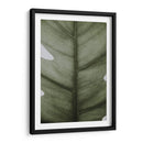 Hoja opaca | Cuadro decorativo de Canvas Lab