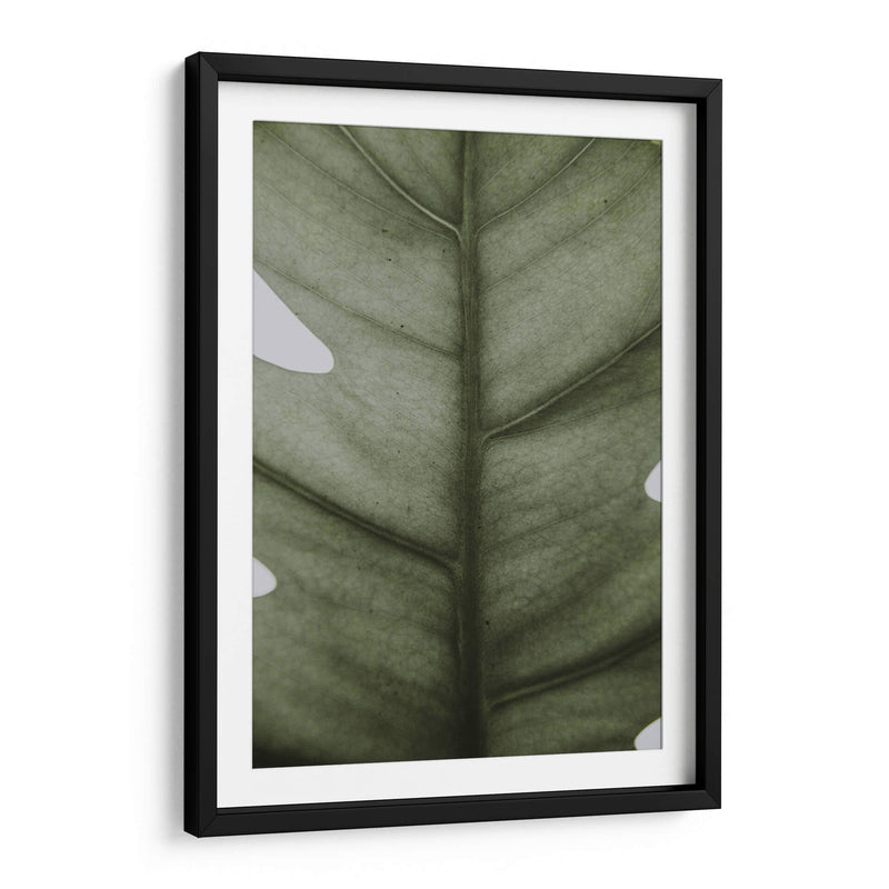 Hoja opaca | Cuadro decorativo de Canvas Lab