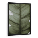 Hoja opaca | Cuadro decorativo de Canvas Lab