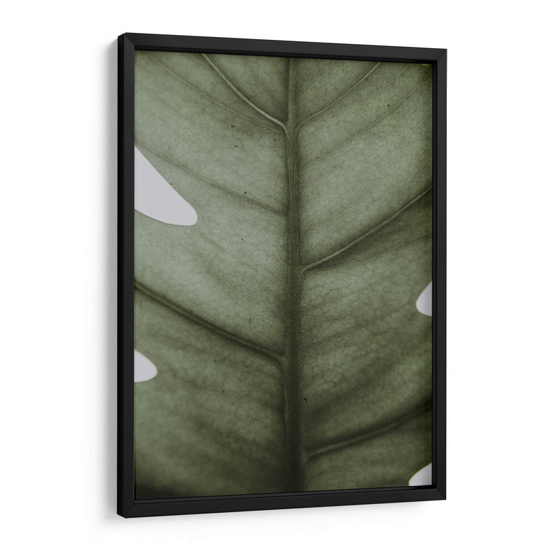 Hoja opaca | Cuadro decorativo de Canvas Lab