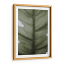 Hoja opaca | Cuadro decorativo de Canvas Lab