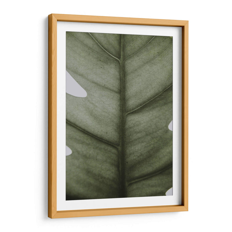 Hoja opaca | Cuadro decorativo de Canvas Lab