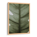 Hoja opaca | Cuadro decorativo de Canvas Lab