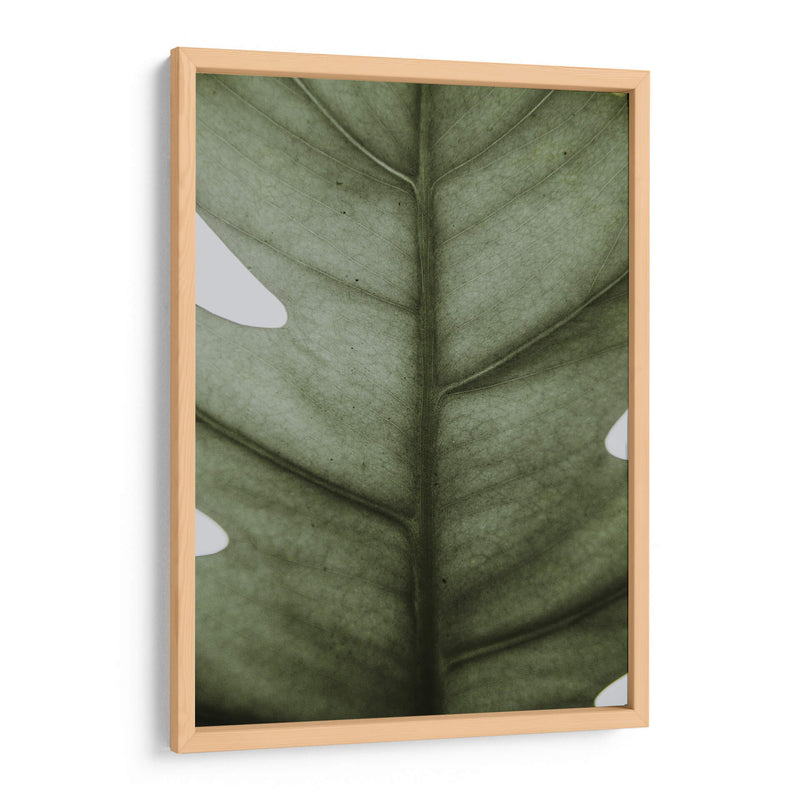 Hoja opaca | Cuadro decorativo de Canvas Lab