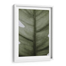 Hoja opaca | Cuadro decorativo de Canvas Lab