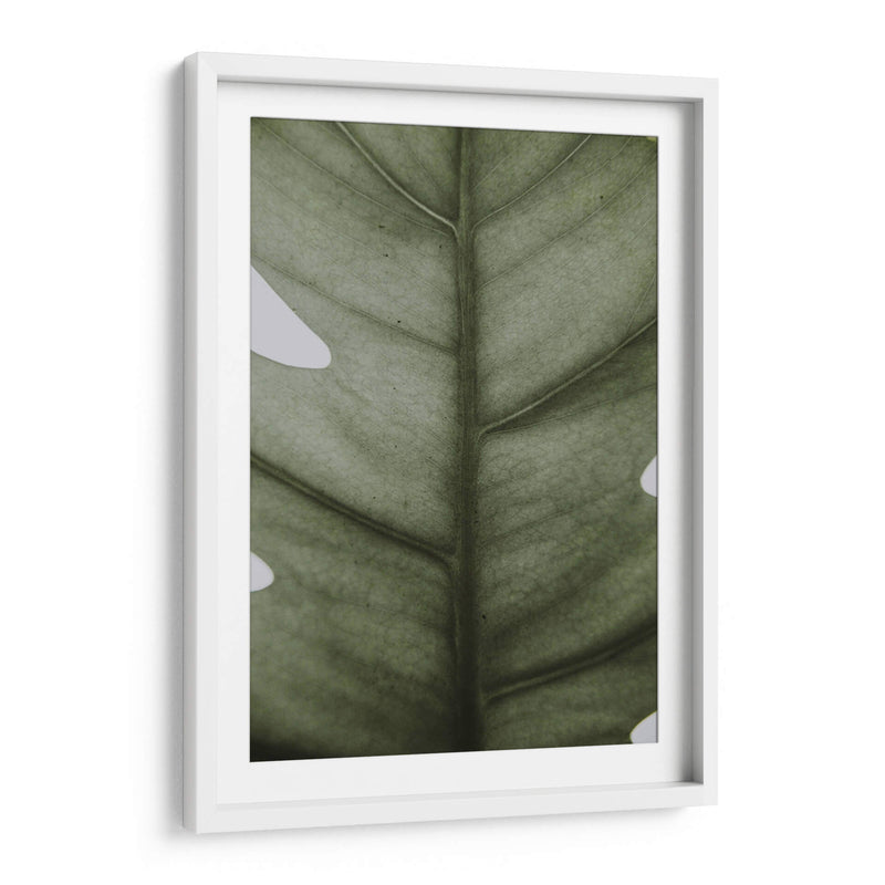 Hoja opaca | Cuadro decorativo de Canvas Lab