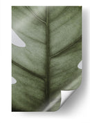 Hoja opaca | Cuadro decorativo de Canvas Lab