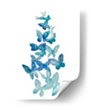 Butterfly Falls I - Grace Popp | Cuadro decorativo de Canvas Lab